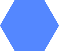 light blue hexagon icon